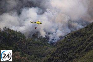El incendio de Gestoso-Oencia en León se estabiliza tras una noche sin llamas.