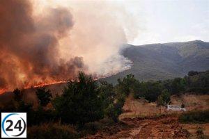 CyL enfrenta 26 incendios activos, incluidos ocho de IGR 2 y seis de nivel 1.