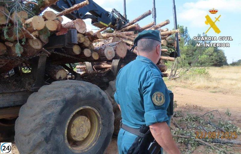 Detenido en Villamol (León) por iniciar un incendio forestal durante la cosecha.