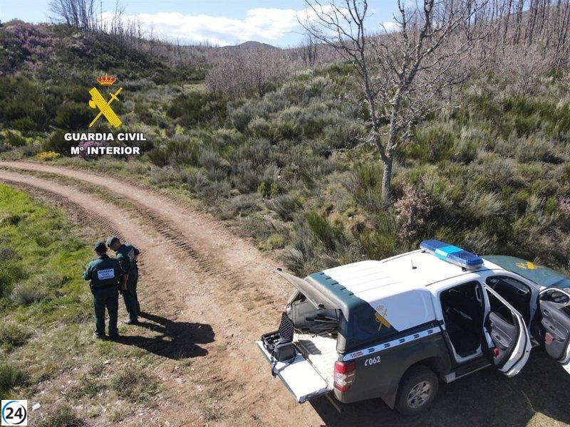 Detenido un agricultor por su presunta conexión con el fuego en Valduvieco, León.