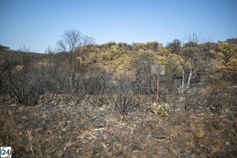 León enfrenta 16 incendios que necesitan atención tras una noche aparentemente tranquila, pero las réplicas generan inquietud.