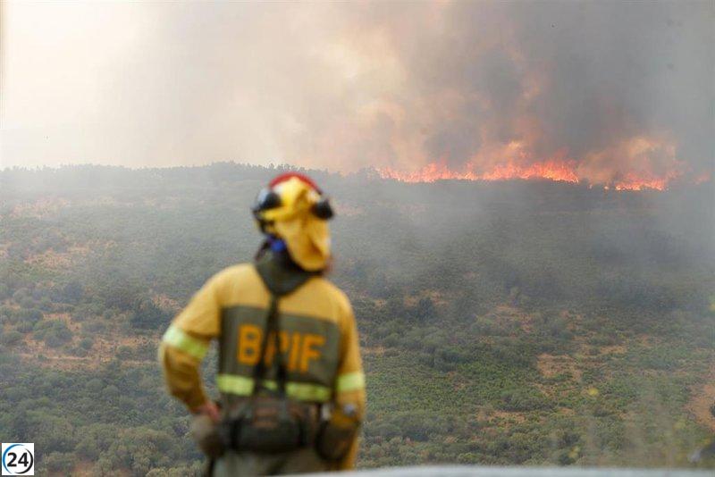 Cierra el fin de semana en Castilla y León con 19 incendios, 11 de ellos de intensidad grave, y 8 permanecen activos.