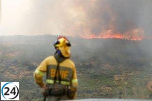 Cierra el fin de semana en Castilla y León con 19 incendios, 11 de ellos de intensidad grave, y 8 permanecen activos.