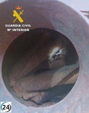 Desactivan 34 cartuchos de dinamita y una granada en diversos municipios de León.