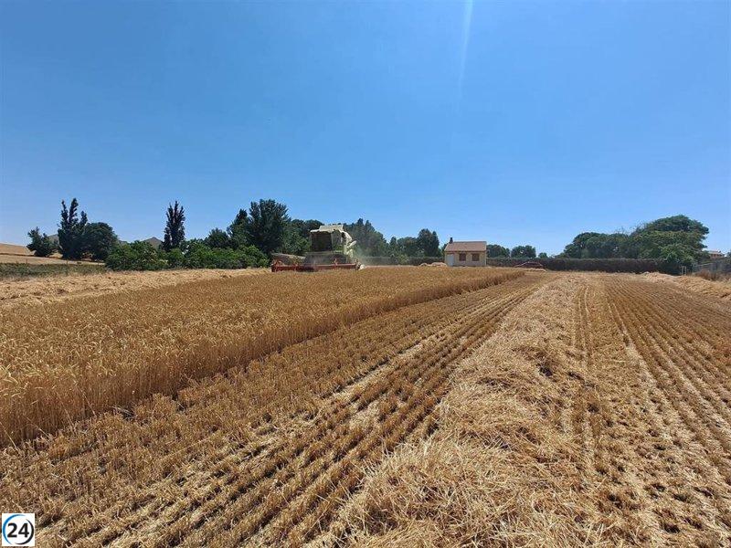 Agricultores de CyL oponen a reforma de la PAC y exigen un presupuesto adecuado para apoyos.