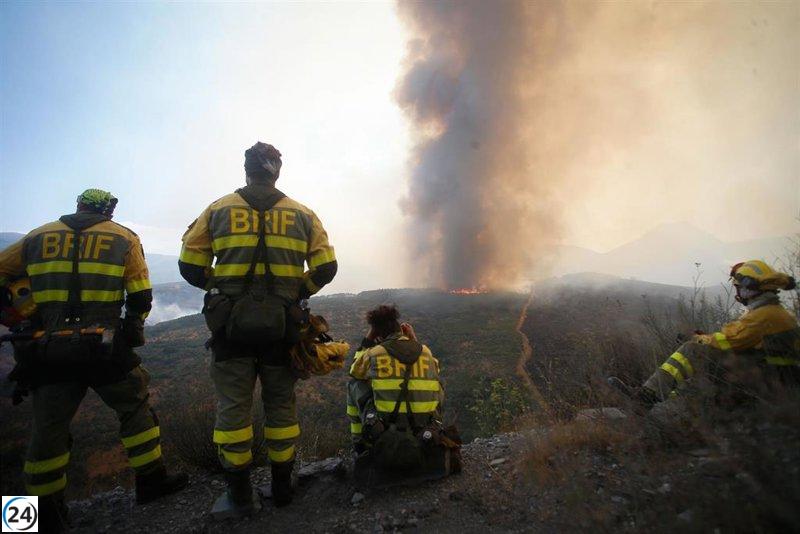 Especialista advierte sobre la creciente intensidad de los incendios en León por condiciones climáticas extremas.