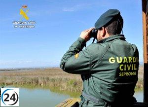 Arrestado por iniciar tres incendios deliberados en la Sierra de Gredos, Ávila.