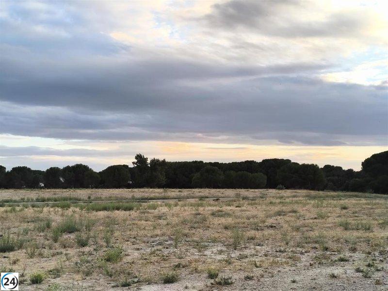 Vecinos de Pinar de Jalón, Valladolid, señalan deficiencias en la limpieza como causa de los frecuentes incendios en la zona.