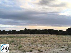 Vecinos de Pinar de Jalón, Valladolid, señalan deficiencias en la limpieza como causa de los frecuentes incendios en la zona.