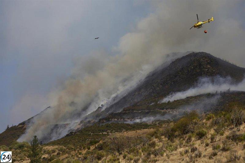 Subvenciones de 5.500 euros para 460 agricultores y ganaderos de CyL afectados por incendios.