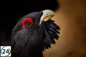 Incendios en León arrasan más de 72.500 hectáreas clave para la avifauna y la biodiversidad.