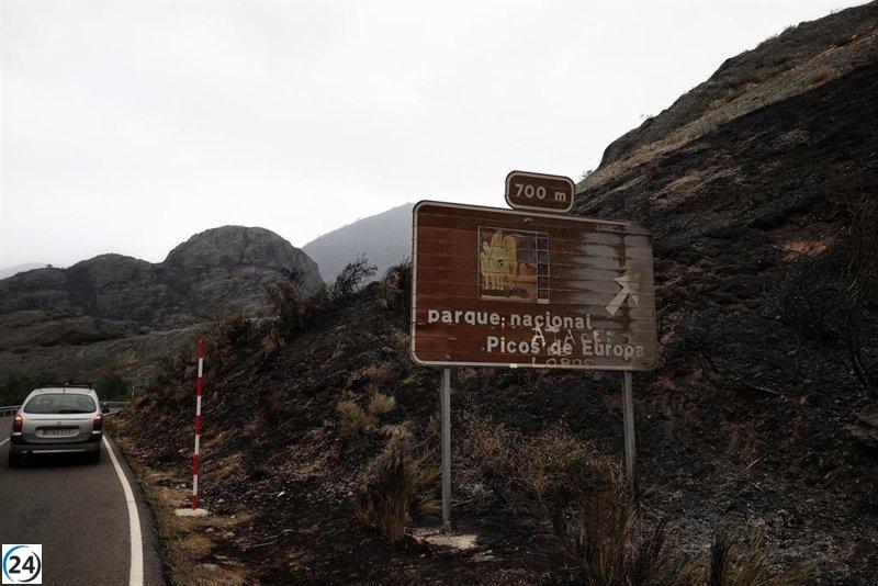 CyL dará luz verde mañana a la normativa para gestionar y planificar los montes.