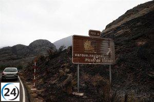 CyL dará luz verde mañana a la normativa para gestionar y planificar los montes.