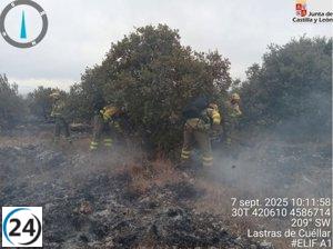 Diversos medios terrestres y aéreos se movilizan para combatir el incendio en Fuentidueña, Segovia.