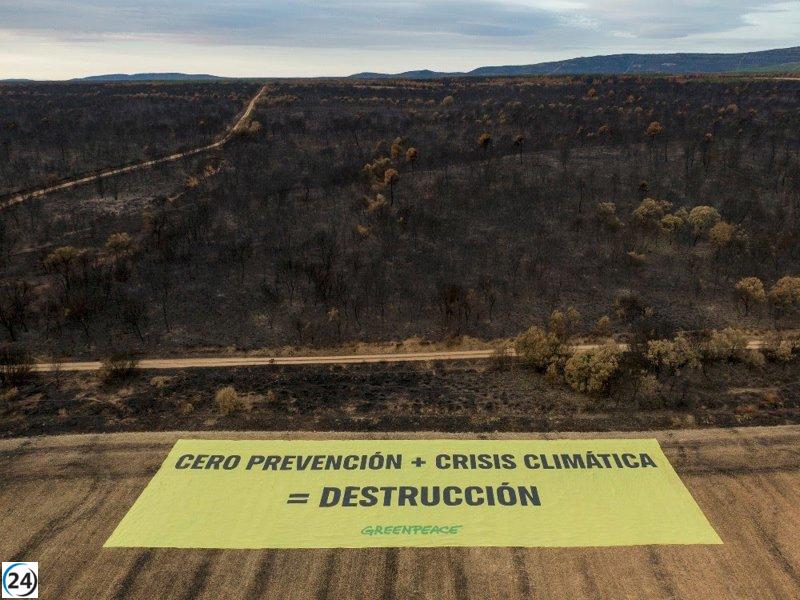 Greenpeace levanta enorme pancarta en León demandando acciones efectivas contra los incendios.