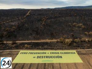 Greenpeace levanta enorme pancarta en León demandando acciones efectivas contra los incendios.