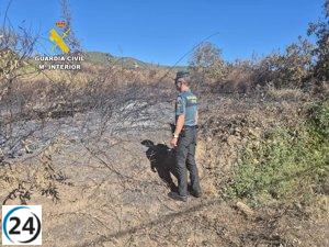 Arresto por incendio provocado con mechero que interrumpe la N-536 en cuatro ubicaciones.