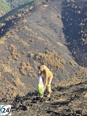 Medio Ambiente: extracción inmediata de madera quemada en áreas incendiadas.