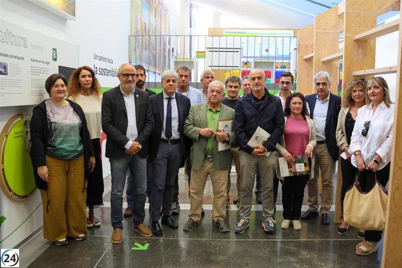 Recuperación del Mirador de Orellán en Las Médulas (León) se completará en noviembre, mientras que el desescombro del Aula comenzará pronto.