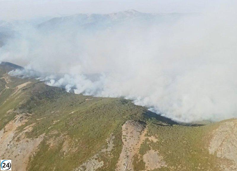 Incendio intencionado en Pendilla de Arbas (León) clasificado como gravedad 1.