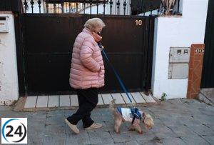 Castilla y León registra las temperaturas más frías del país, con Puerto el Pico (Ávila) alcanzando los -3,0º.