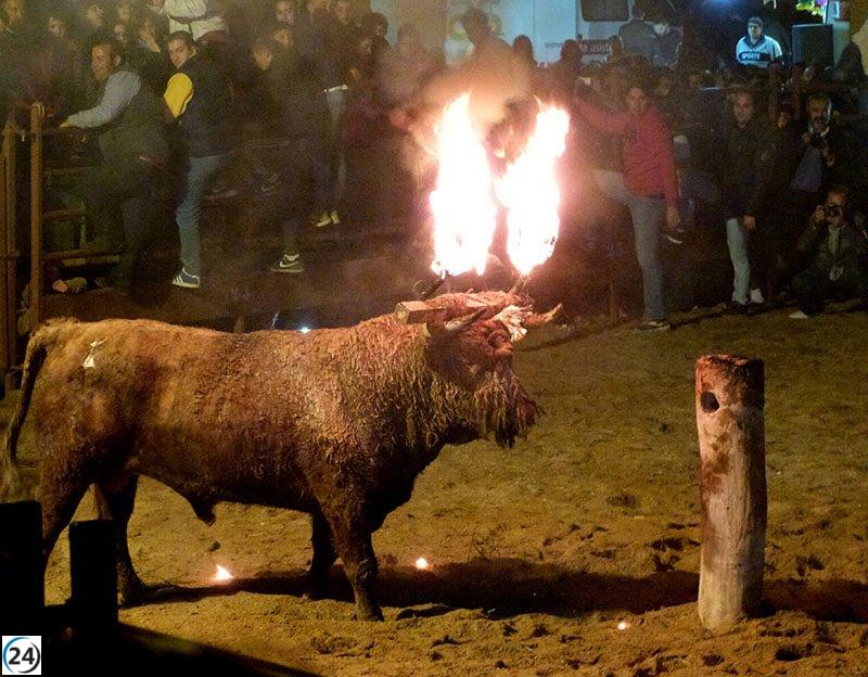 PACMA pide la remoción del juez encargado del caso Toro Júbilo en el Supremo.