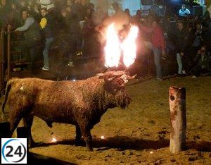 PACMA pide la remoción del juez encargado del caso Toro Júbilo en el Supremo.