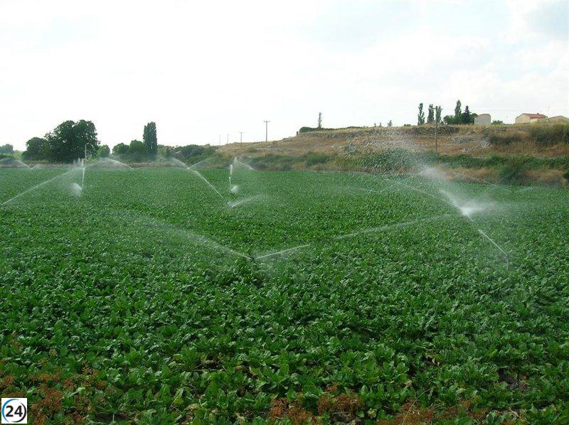 La CHD amplía su campaña de riego en octubre para colza y remolacha.