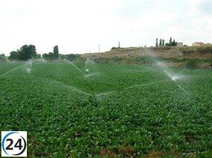 La CHD amplía su campaña de riego en octubre para colza y remolacha.