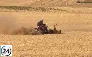 Pacma interpone denuncia tras la muerte de una vaquilla por un quad en el encierro de Bolaños de Campos.