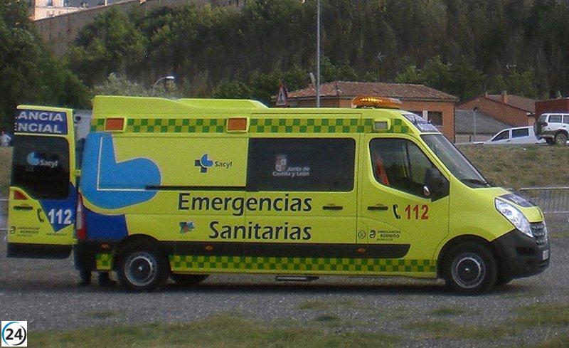 Accidente en la A-1: vehículos impactan contra una manada de caballos en Santo Tomé del Puerto, Segovia.