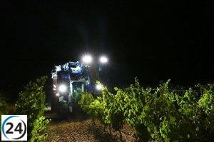 Declive en la cosecha de uva en Rueda, ascenso en Cigales y crisis de precios en Ribera, según UCCL