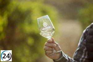 La DO Rueda concluye la vendimia con 123 millones de kilos de uva y una cosecha de calidad excepcional.