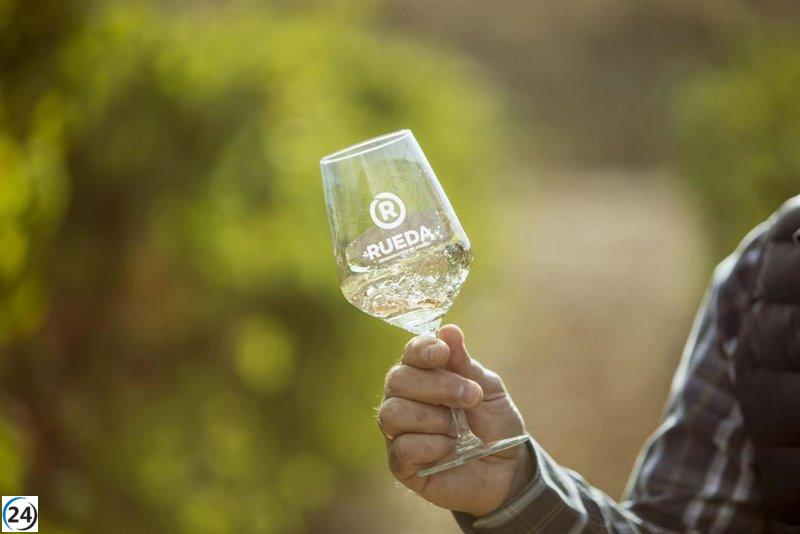 DO Rueda concluye la cosecha con 123 millones de kilos de uva.