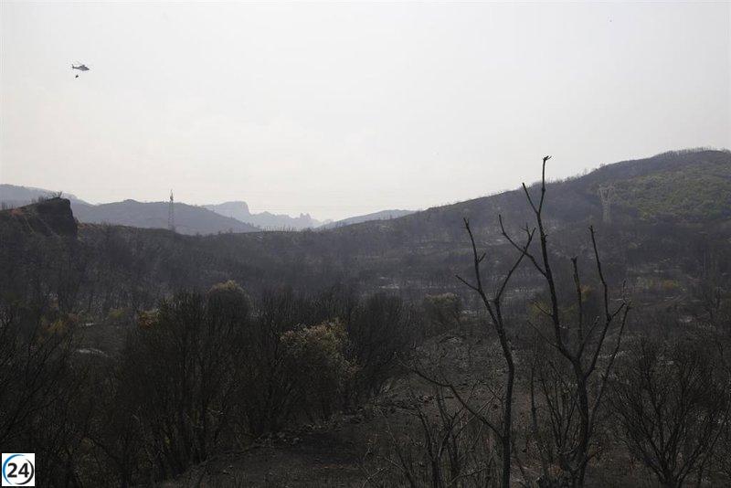 El aumento del ozono en Castilla y León se agrava por el calor y los incendios, afectando especialmente a El Bierzo y la cuenca del Ebro.