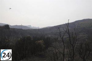 El aumento del ozono en Castilla y León se agrava por el calor y los incendios, afectando especialmente a El Bierzo y la cuenca del Ebro.