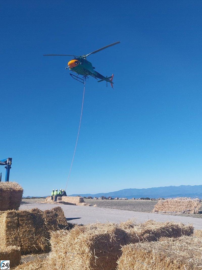 La CHD comienza la recuperación hídrica y forestal en áreas de León devastadas por incendios.