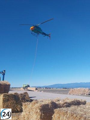 La CHD comienza la recuperación hídrica y forestal en áreas de León devastadas por incendios.
