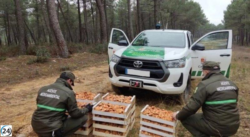 Apamcyl alerta sobre escasez de personal jurídico en los Servicios Territoriales de Medio Ambiente.