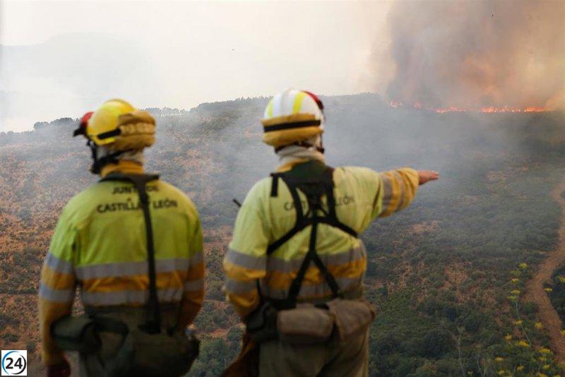 La Junta lanza un nuevo incentivo para los brigadistas de incendios forestales en Castilla y León.