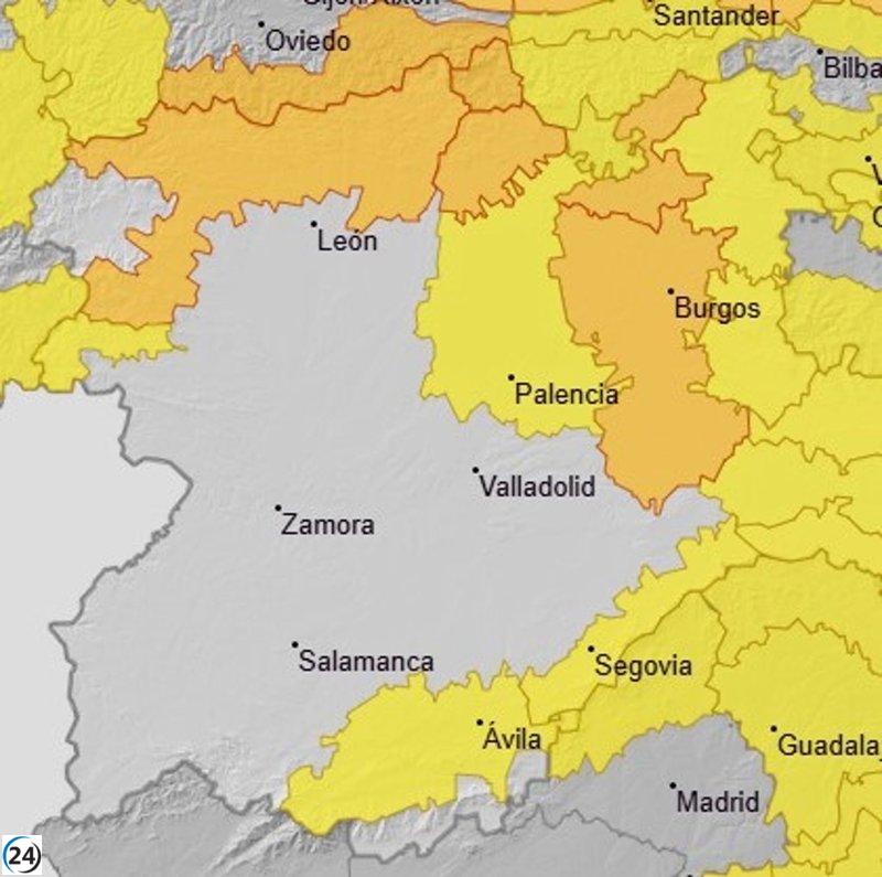 Burgos, León y Palencia en alerta naranja por nieve y vientos; otras cuatro provincias bajo aviso amarillo este sábado.