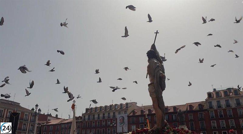 Miles de personas acuden a la Plaza Mayor de Valladolid para presenciar el Encuentro entre un Jesús Resucitado y su Madre