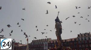 Miles de personas acuden a la Plaza Mayor de Valladolid para presenciar el Encuentro entre un Jesús Resucitado y su Madre