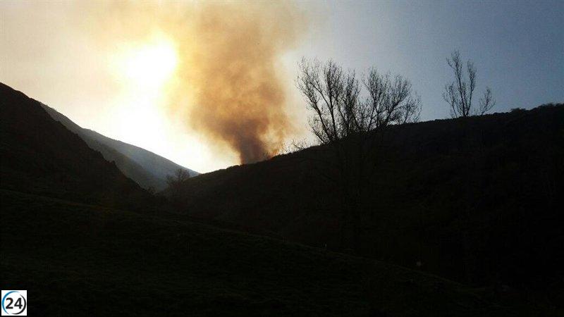 Equipos aéreos y terrestres luchan contra un incendio forestal provocado en Tonín de Arbás (León)