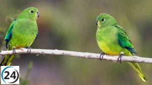 Inscripciones abiertas para programa de voluntariado ambiental en centro de recuperación de aves de Valladolid.