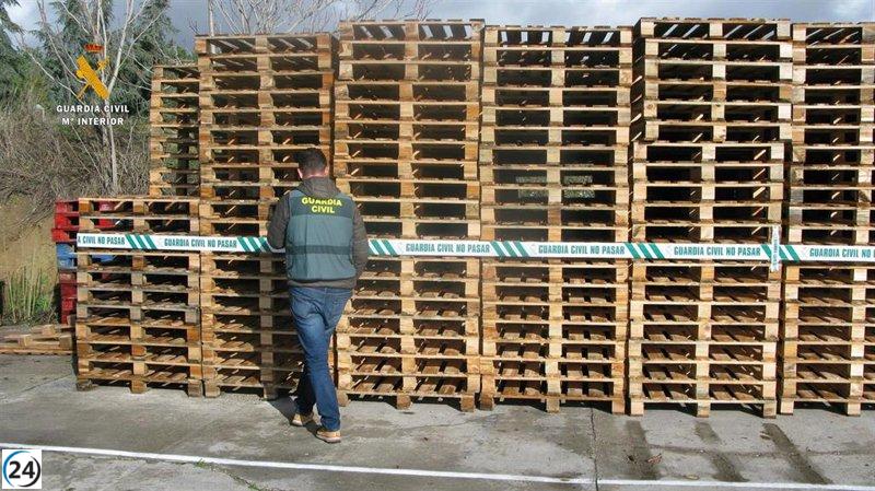 Dos acusados de negociar pallets falsificados y sin cumplir la normativa.