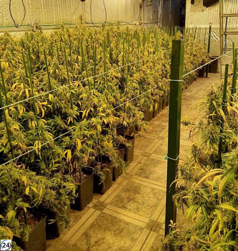 Multa olvidada con restos de marihuana desató operación con 11 detenidos.