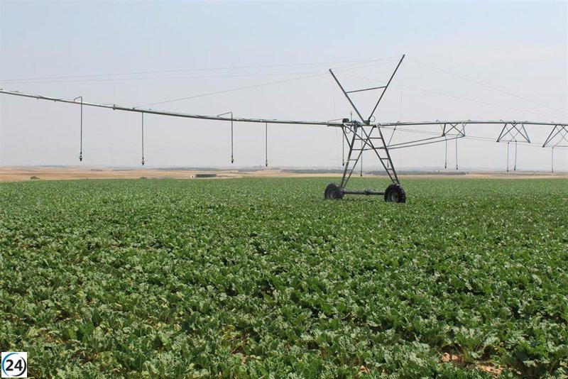 El sector agrícola de Castilla y León exige ayuda inmediata por la sequía en protesta del 15 de junio.