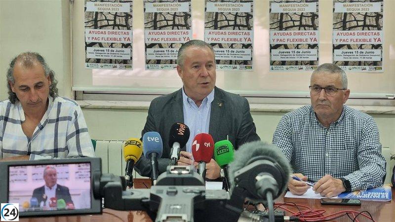 El campo de CyL pide a la Junta declaración de sequía.