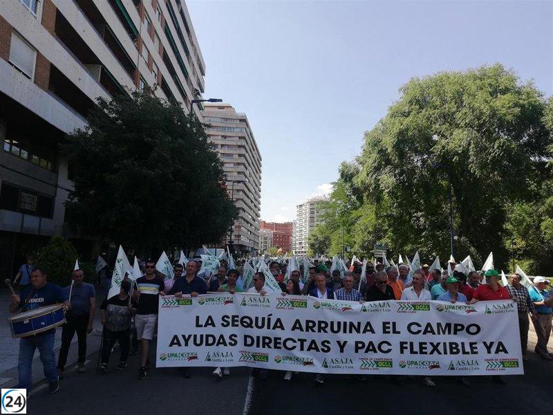 Agricultores de CyL se unen para pedir ayuda ante una sequía 
